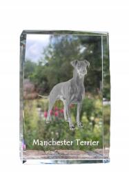 Art-Dog Manchester terrier kutya kép kristályban, ajándéktárgy, trófea köszönetnyilvánítás (5055882466753)