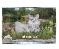 Art-Dog Szibériai macska kristályos fotó, emléktárgy, trófea, köszönetnyilvánítás (5055882467835)