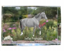 Art-Dog Selle Francais ló kristályos fotó, emléktárgy, trófea, köszönetnyilvánítás (5055882468443)