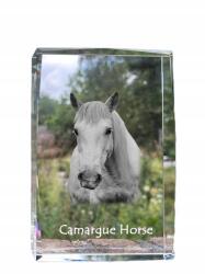 Art-Dog Camargue ló kristályos fotó, emléktárgy, trófea, köszönetnyilvánítás (5055882468313)