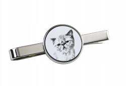 Art-Dog Macska Egzotikus rövidszőrű nyakkendőtű macskával, az Ön fényképével (5055882497481)