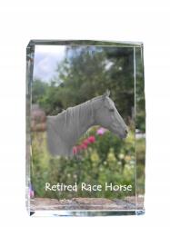 Art-Dog Ló Retired Race Horse kristályos fotó, ajándéktárgy, trófea köszönetnyilvánítás (5055882468245)