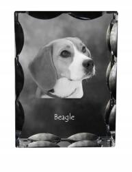 Art-Dog Beagle kutya kép díszes kristályban, ajándéktárgy, lakásdekoráció (5055882447509)
