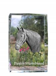 Art-Dog Dán ló melegvérű fotó kristályban, emléktárgy, trófea (5055882468344)