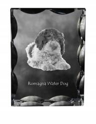 Art-Dog Román vízi kutya fotó kutya díszes kristály, ajándéktárgy, dekoráció (5055882448889)