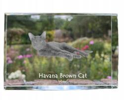 Art-Dog Havanna macska barna kristályos kép, emléktárgy, trófea, köszönetajándék (5055882467750)