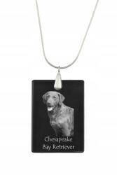 Art-Dog Chesapeake Bay Retriever ezüst nyaklánc kristály medállal, kutyával (5055882455085)