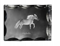 Art-Dog Falabella ló fotó díszes kristályban, ajándéktárgy, lakásdekoráció (5055882450356)