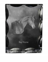 Art-Dog Ló fészek fotó díszes kristályban, ajándéktárgy, lakásdekoráció (5055882450288)