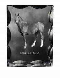 Art-Dog Kanadai ló fotó díszes kristályban, ajándéktárgy, lakásdekoráció (5055882450035)