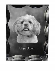 Art-Dog Lhasa Apso kutya fotó díszes kristályban, ajándéktárgy, lakásdekoráció (5055882447776)