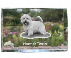 Art-Dog Norwich terrier kutya kép kristályban, ajándéktárgy, trófea, köszönetajándék (5055882465800)