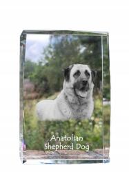 Art-Dog Anatóliai juhászkutya fénykép kutya kristályban, ajándéktárgy, trófea, szobor (5055882466968)