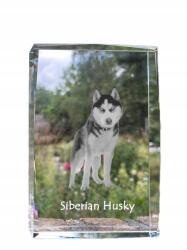 Art-Dog Szibériai husky kutya kép kristályban, emléktárgy, trófea, köszönetnyilvánítás (5055882466364)
