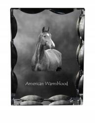 Art-Dog Warmblood ló amerikai fotó díszes kristályban, ajándéktárgy, dekoráció (5055882450219)