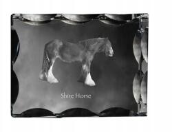 Art-Dog Ló Shire fotó díszes kristályban, ajándéktárgy, lakásdekoráció (5055882450141)