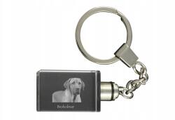Art-Dog Black and tan coonhound kristály kulcstartó kutya kulcstartó fényképpel (5055882428027)