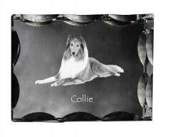 Art-Dog Skót juhászkutya, Collie kutya fotó díszes kristályban, ajándéktárgy (5055882448148)