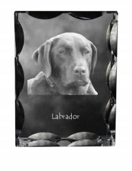 Art-Dog Labrador retriever kutya kép díszes kristályban, ajándéktárgy, dekoráció (5055882448261)