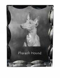 Art-Dog A fáraó kutyája fotó kutya díszes kristályban, ajándéktárgy, lakásdekoráció (5055882448292)