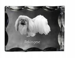 Art-Dog Pekingi kutya fotó díszes kristályban, ajándéktárgy, lakásdekoráció (5055882447813)