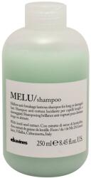 Davines Essential Melu - Sampon A Haj Töredezésének Megakadályozására 250ML (8004608246206)