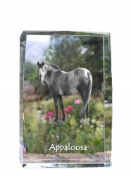 Art-Dog Appaloosa ló kristályos fotó, emléktárgy, trófea, köszönetnyilvánítás (5055882468009)