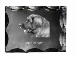 Art-Dog Leonberger kutya fotó díszkristályban, ajándéktárgy, lakásdekoráció (5055882448421)