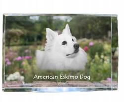 Art-Dog American Eskimo Dog fotó kutya kristály, emlék trófea köszönetnyilvánítás (5055882466548)