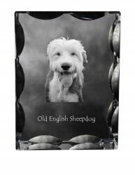 Art-Dog Juhászkutya óangol kutya kép díszes kristály ajándék dekoráció (5055882448582)