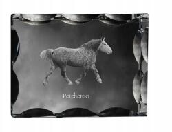 Art-Dog Ló Perszeron fotó díszes kristályban, ajándéktárgy, lakásdekoráció (5055882450325)