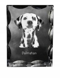 Art-Dog Dalmata kutya kép díszes kristályban, ajándéktárgy, lakásdekoráció (5055882447653)