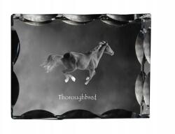 Art-Dog Angol telivér ló fotó díszes kristály ajándék dekoráció (5055882450165)