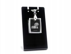  Black and tan coonhound kristály medál, nyaklánc (5055882440029)