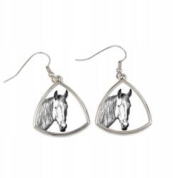 Art-Dog Namib sivatagi ló háromszög alakú lógós fülbevaló fényképpel (5055882477407)