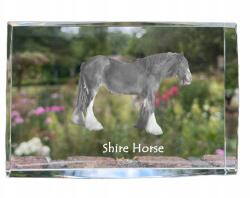 Art-Dog Ló Shire kristályos fotó, ajándéktárgy, trófea, köszönetajándék (5055882468146)