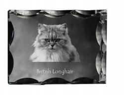 Art-Dog Brit macska hosszú szőrű fotó díszes kristályban, ajándéktárgy, dekoráció (5055882449626)
