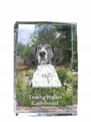 Art-Dog Treeing Walker Coonhound kutya kép kristályban, ajándéktárgy, trófea (5055882467347)