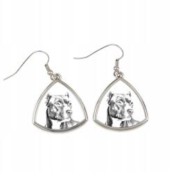 Art-Dog Pitbull, Pit Bull háromszög alakú, lógós kutya fülbevaló, fényképpel (5055882474826)