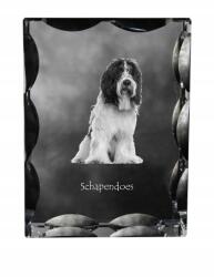 Art-Dog Holland juhászkutya kutya kép díszes kristályban, ajándéktárgy, dekoráció (5055882449251)