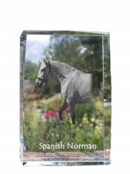 Art-Dog Spanyol-norvég ló kristályos fotó, emléktárgy, trófea (5055882468153)