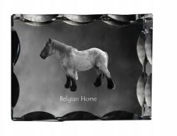 Art-Dog Belga ló fotó díszes kristályban, ajándéktárgy, lakásdekoráció (5055882450028)