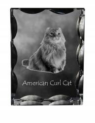 Art-Dog Amerikai macska curl fotó díszes kristály, ajándéktárgy, lakásdekoráció (5055882449718)