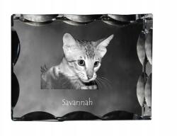 Art-Dog Savannah macska fotó díszes kristályban, ajándéktárgy, lakásdekoráció (5055882449640)