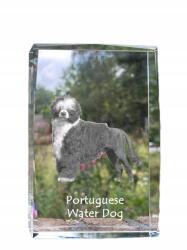 Art-Dog Portugál kutya igazolványkép kristályban, ajándéktárgy, trófea (5055882466890)