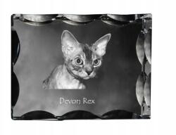 Art-Dog Devon Rex macska fotó díszkristályban, ajándéktárgy, lakásdekoráció (5055882449589)
