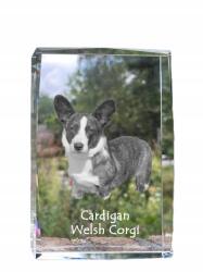 Art-Dog Cardigan Welsh Corgi kutya kép kristályban, ajándéktárgy, trófea, szobor (5055882467071)