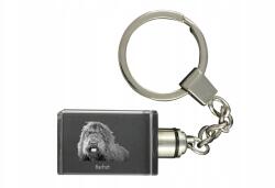 Art-Dog Barbet kristály kulcstartó kutya kulcstartó fényképpel megvilágított (5055882427983)
