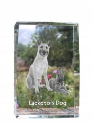 Art-Dog Laekenois Belga juhászkutya fotó kutya kristály, ajándéktárgy, trófea (5055882467002)