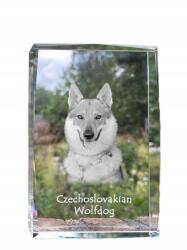 Art-Dog Csehszlovák farkas kutya kép kristályban, emléktárgy, trófea (5055882467118)
